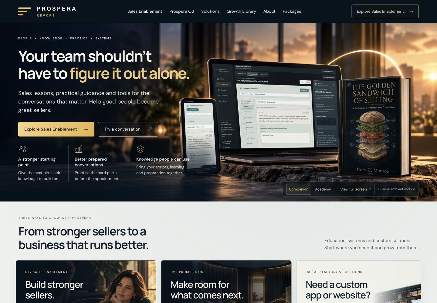 Actual local website example with a clear sales enablement story